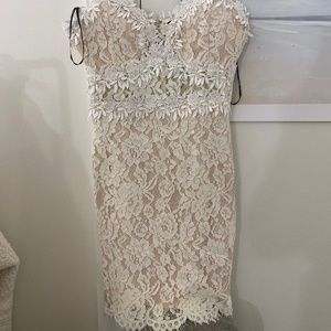 Forever 21 Lace Dress